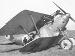 Pfalz D.IIIa 8043/17 crash (1099-023)